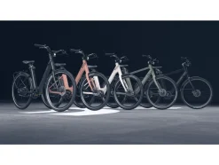 Urban E-bike All Black 2.0 X riemaandrijving