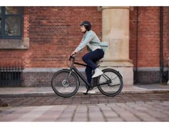 Urban elektrische fiets 1.0 X zwart