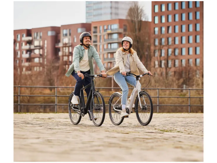 Urban elektrische fiets 1.0 X zwart