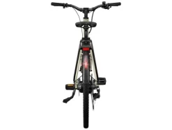 Urban elektrische fiets 3.0 Y kettingaandrijving