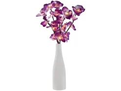 Vaas met lichtgevende tak