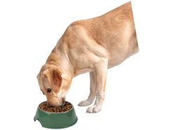 Voer- en drinkbak, voermat of likmat