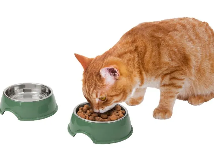 Voer- en drinkbak, voermat of likmat